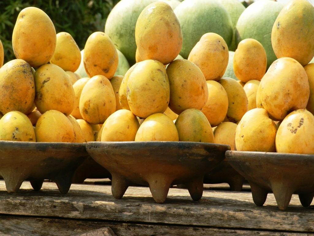 Baganapalle tree