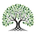thegreenguestrentals.com